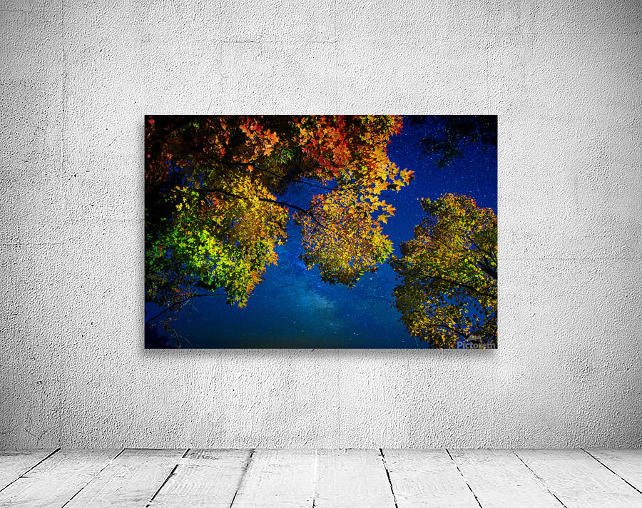 JBS 3297  Wall Preview