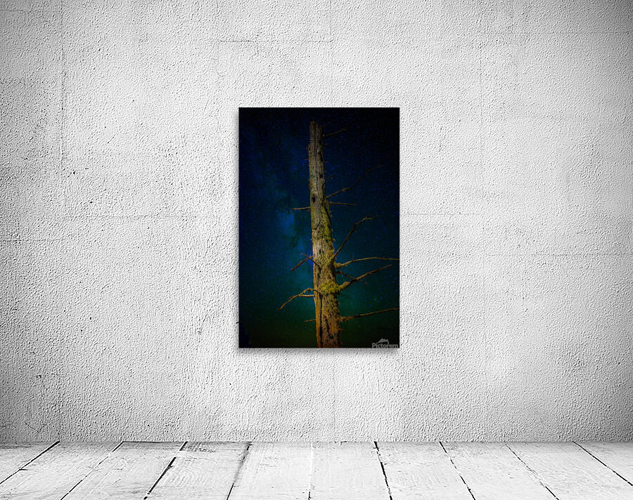 JBS 0996 Wall Preview