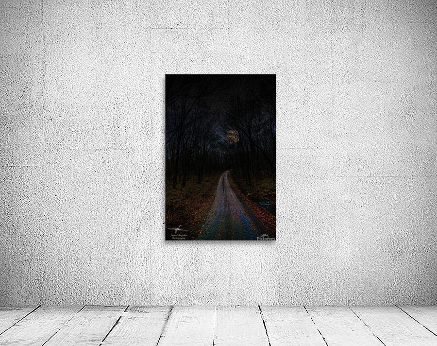 JBS 4841  Wall Preview