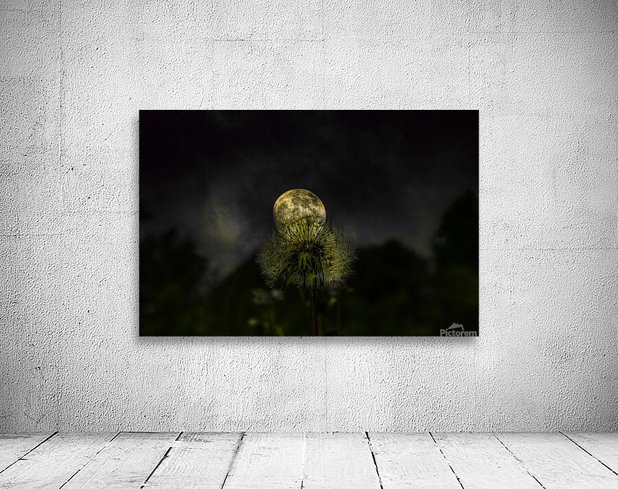 JBS 4984 1 Wall Preview