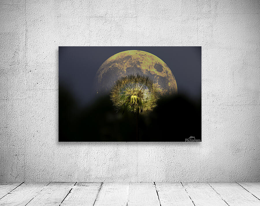 JBS 4981 2 Wall Preview