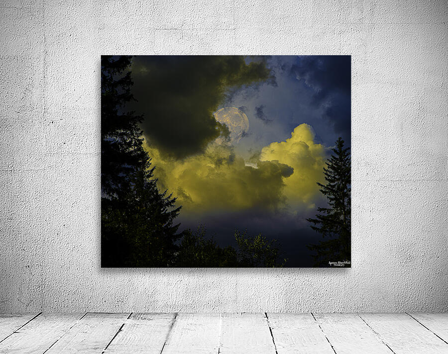 JBS 2966 Wall Preview