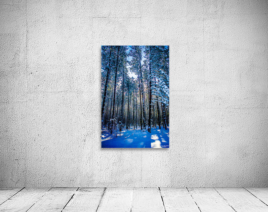 JBS 4409 Wall Preview