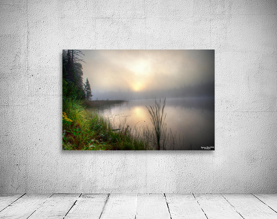 JBS 2558 Wall Preview