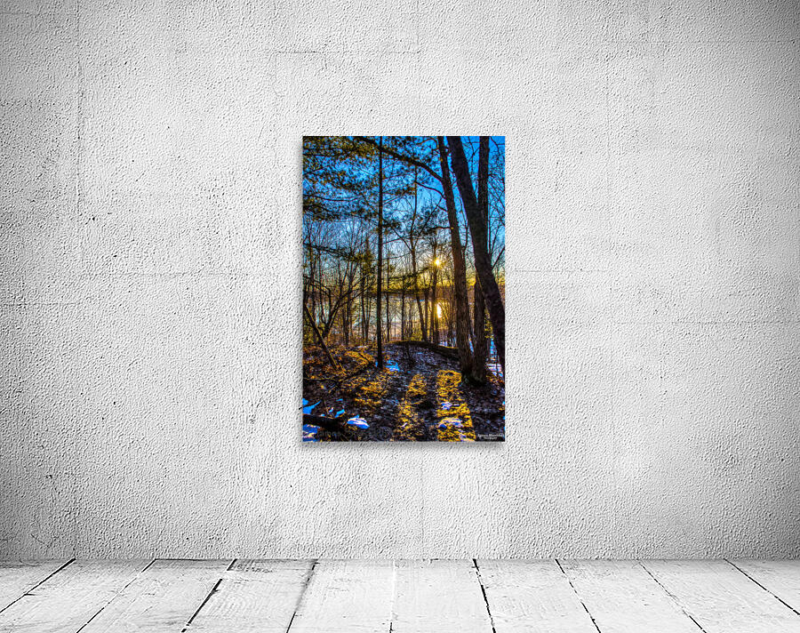 JBS 7909 Wall Preview