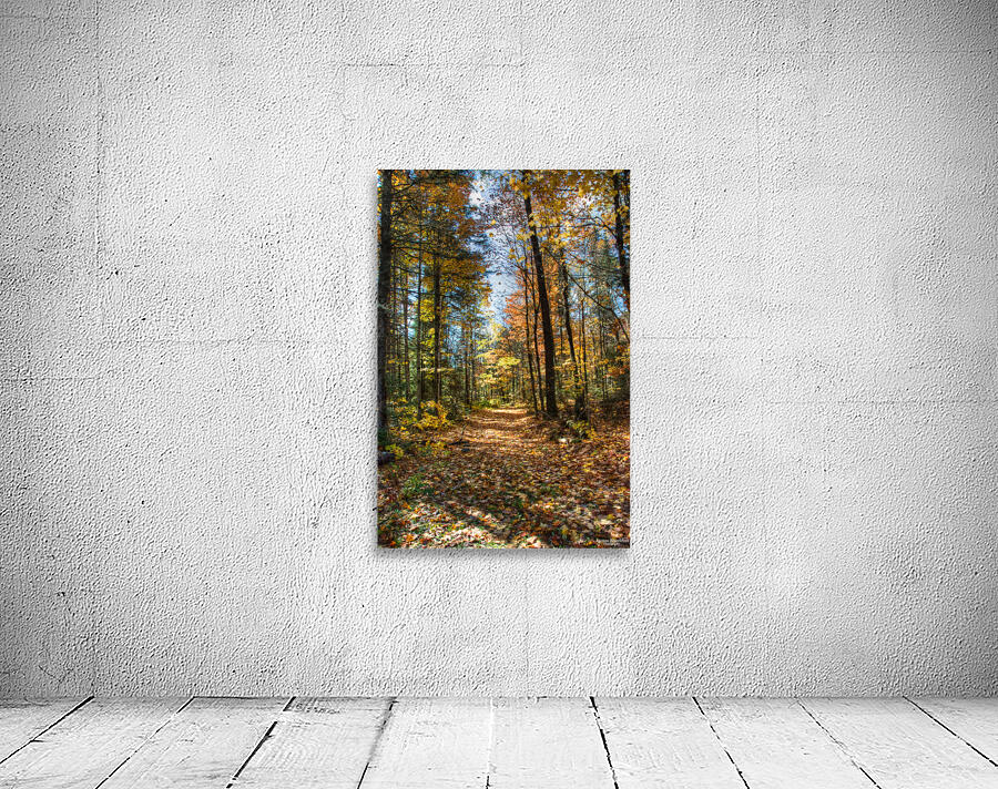 JBS 7125 Wall Preview