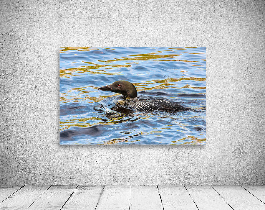 JBS 2192 Wall Preview