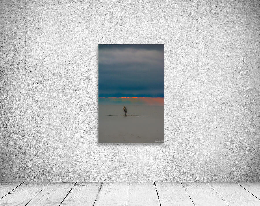 JBS 4325 Wall Preview