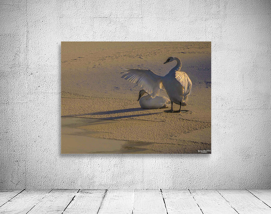 DSC 5806 2 Wall Preview