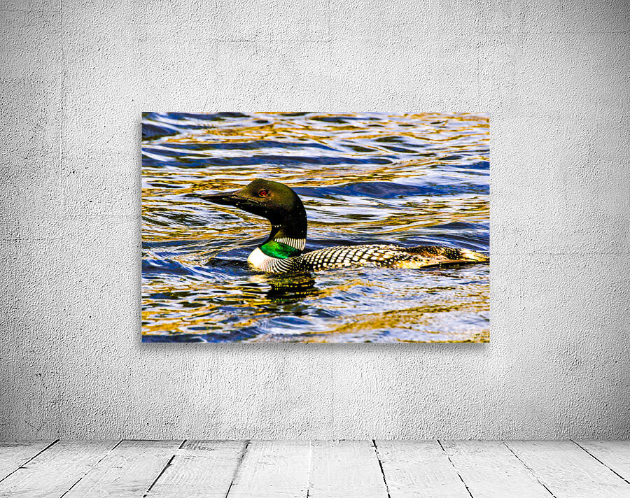 JBS 2215 Wall Preview