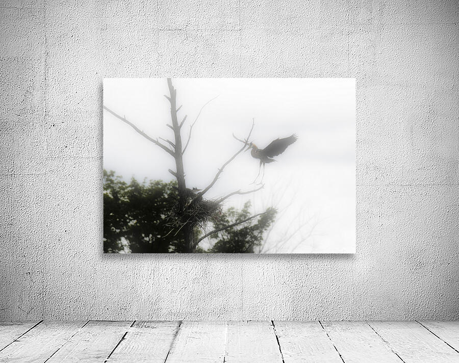 JBS 1831 Wall Preview