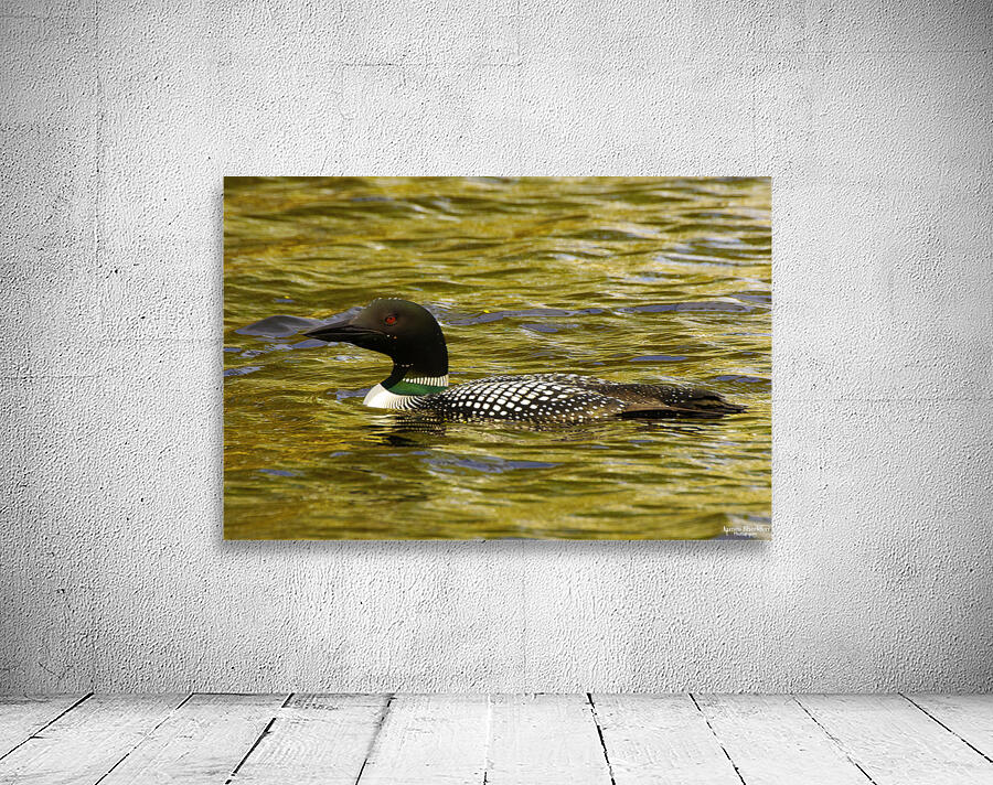 JBS 2224 Wall Preview