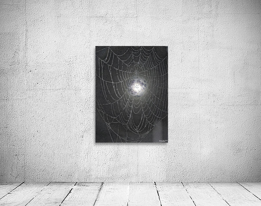 ZJS 8300  Wall Preview