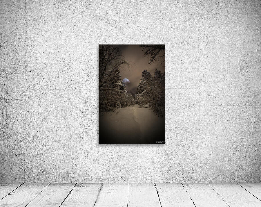 Z62 0235 2  Wall Preview