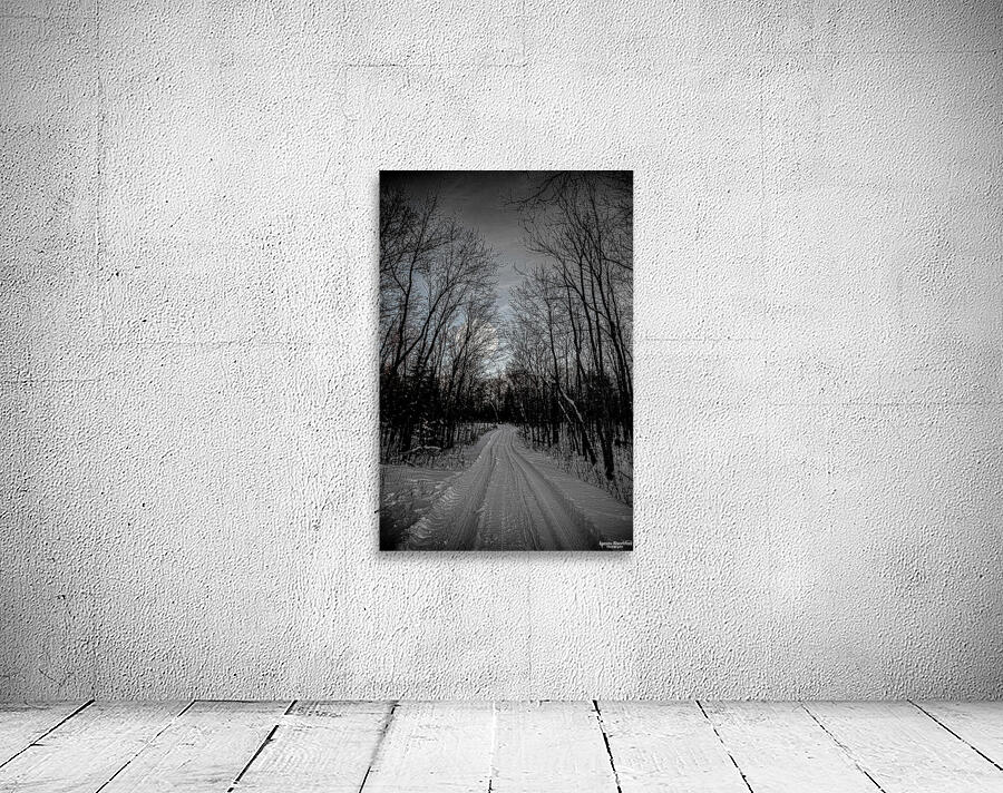 JBS 0236  Wall Preview