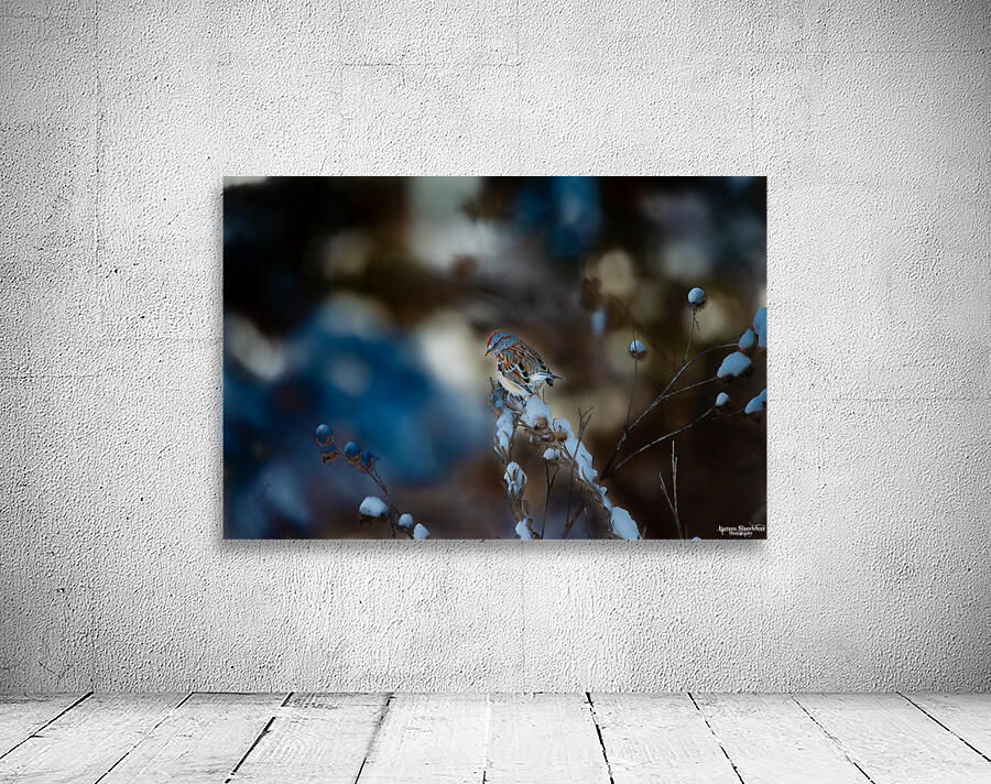 JBS 8295 Wall Preview