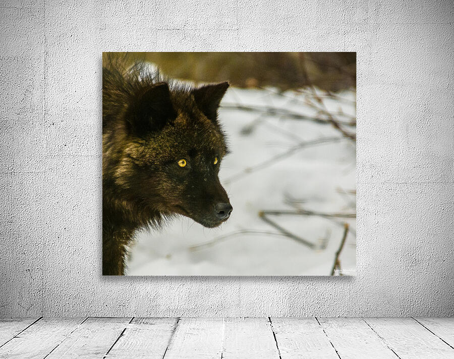 JBS 9070 Wall Preview