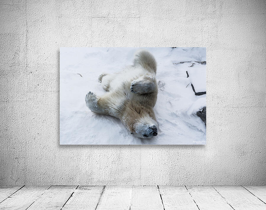 JBS 8390 Wall Preview