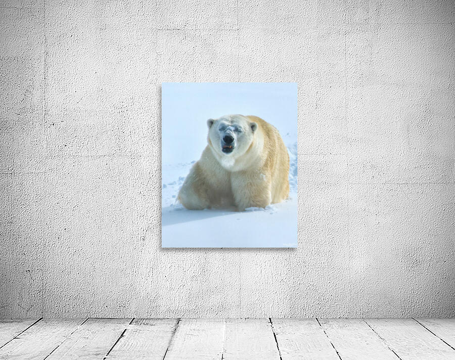 JBS 9357 Wall Preview