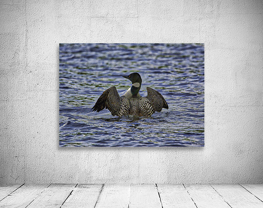 JBS 23862 Wall Preview