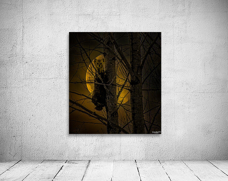 JBS 52971 Wall Preview