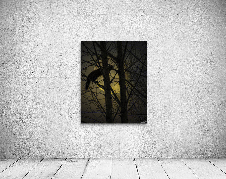 JBS 5295 Wall Preview