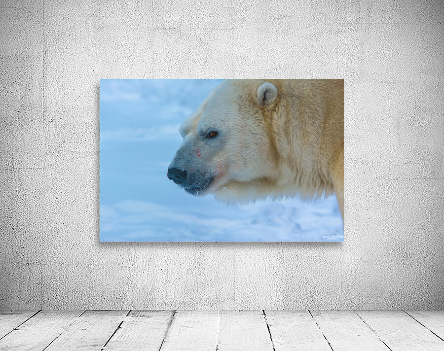 JBS 8465 Wall Preview