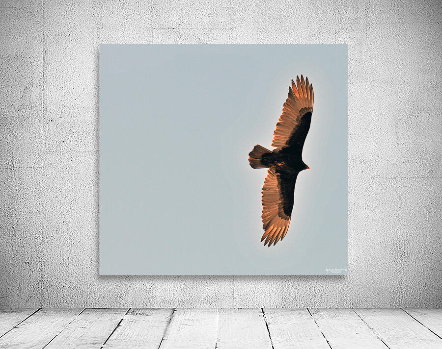 JBS 9485 2 Wall Preview