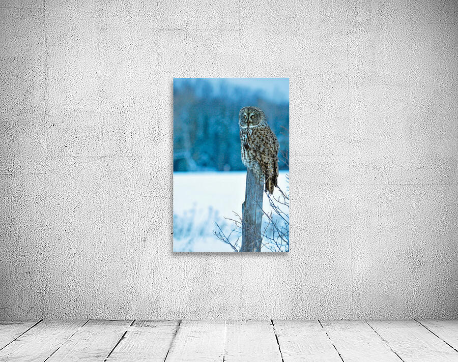 jbs 5420-2 Wall Preview