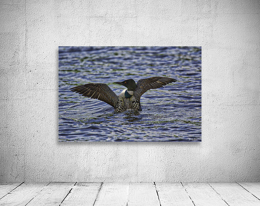 JBS 23852 Wall Preview