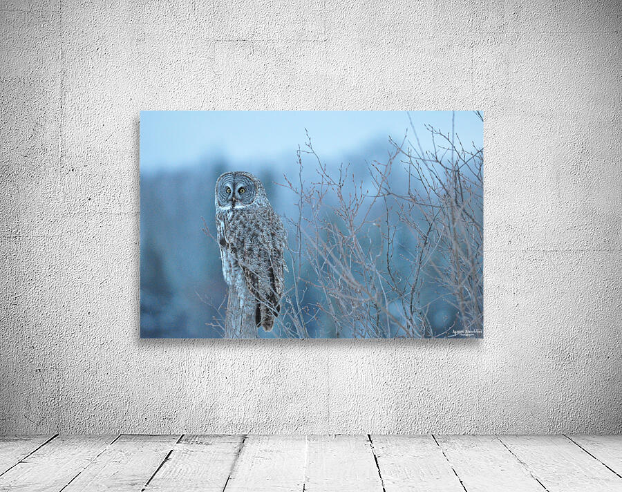 JBS 5393 Wall Preview