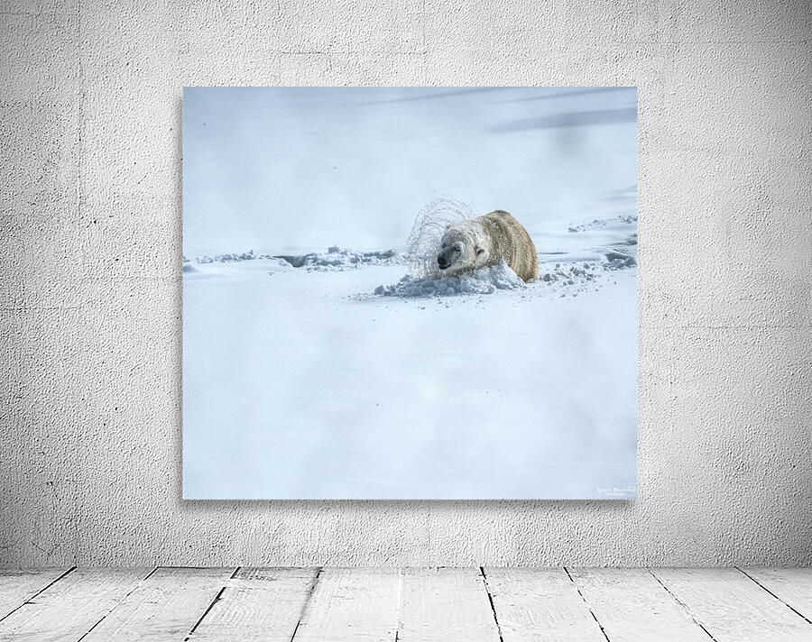 JBS 9336 Wall Preview