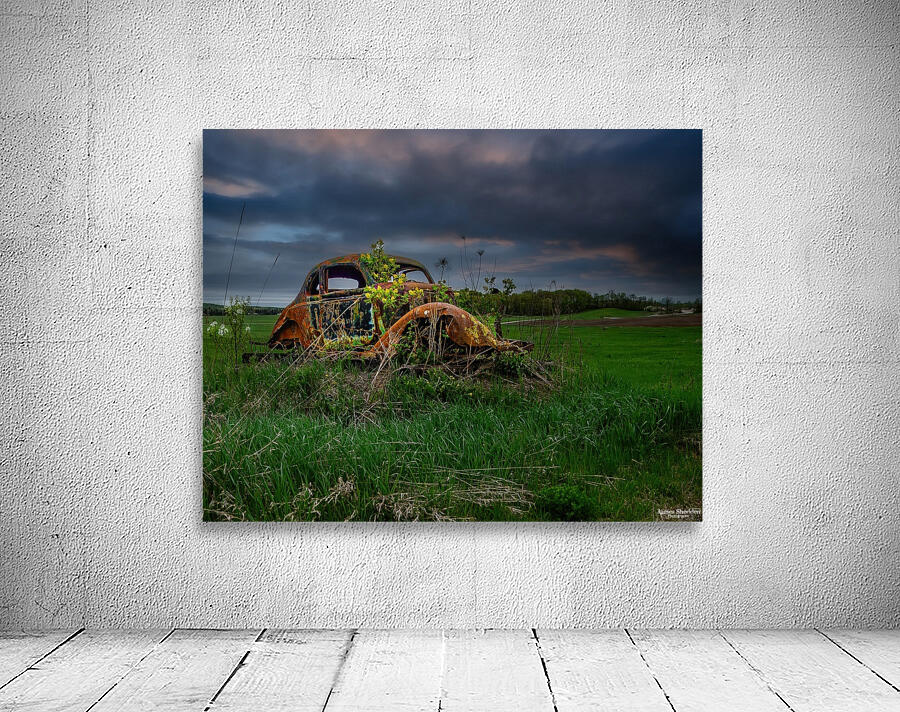 ZJS 9866 Wall Preview