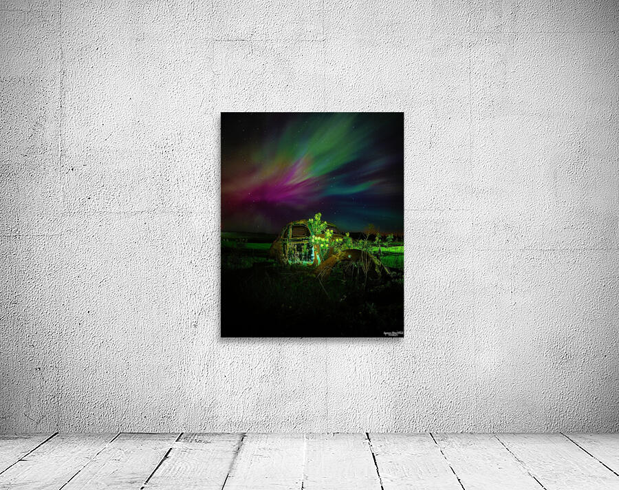 ZJS 9879 Wall Preview