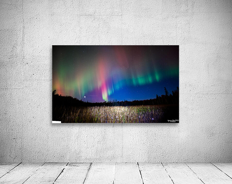 ZJS 8404 Pano Edit Wall Preview