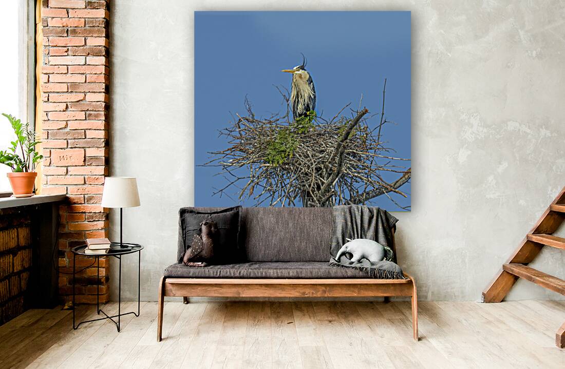 JBS 0860ED Reproduction