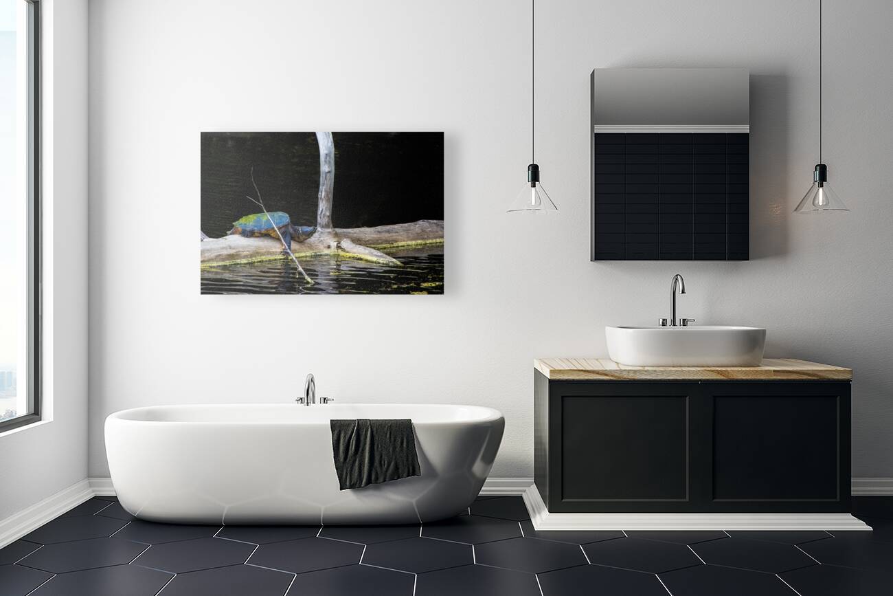 JBS 1007 Reproduction