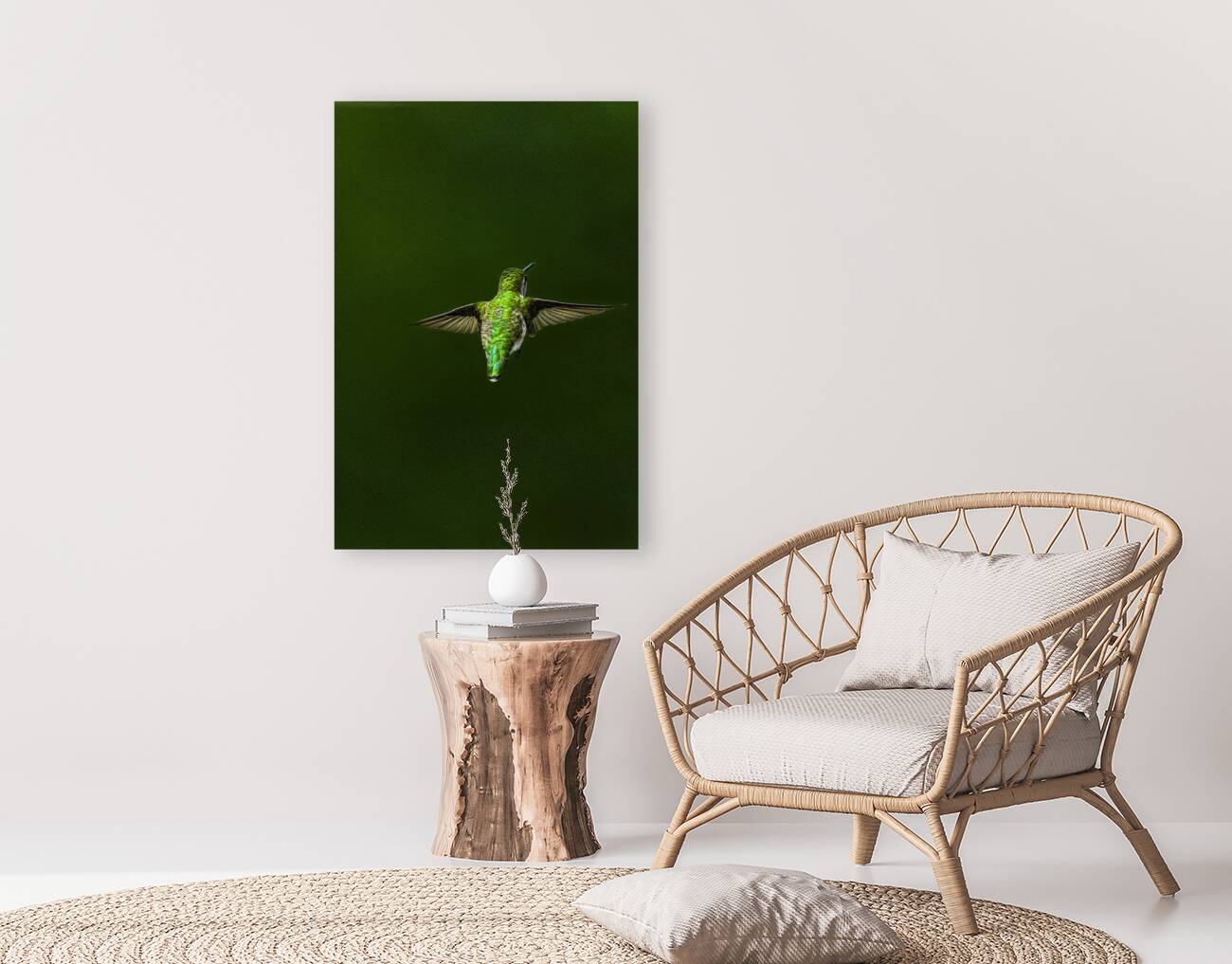 JBS 1467 Reproduction