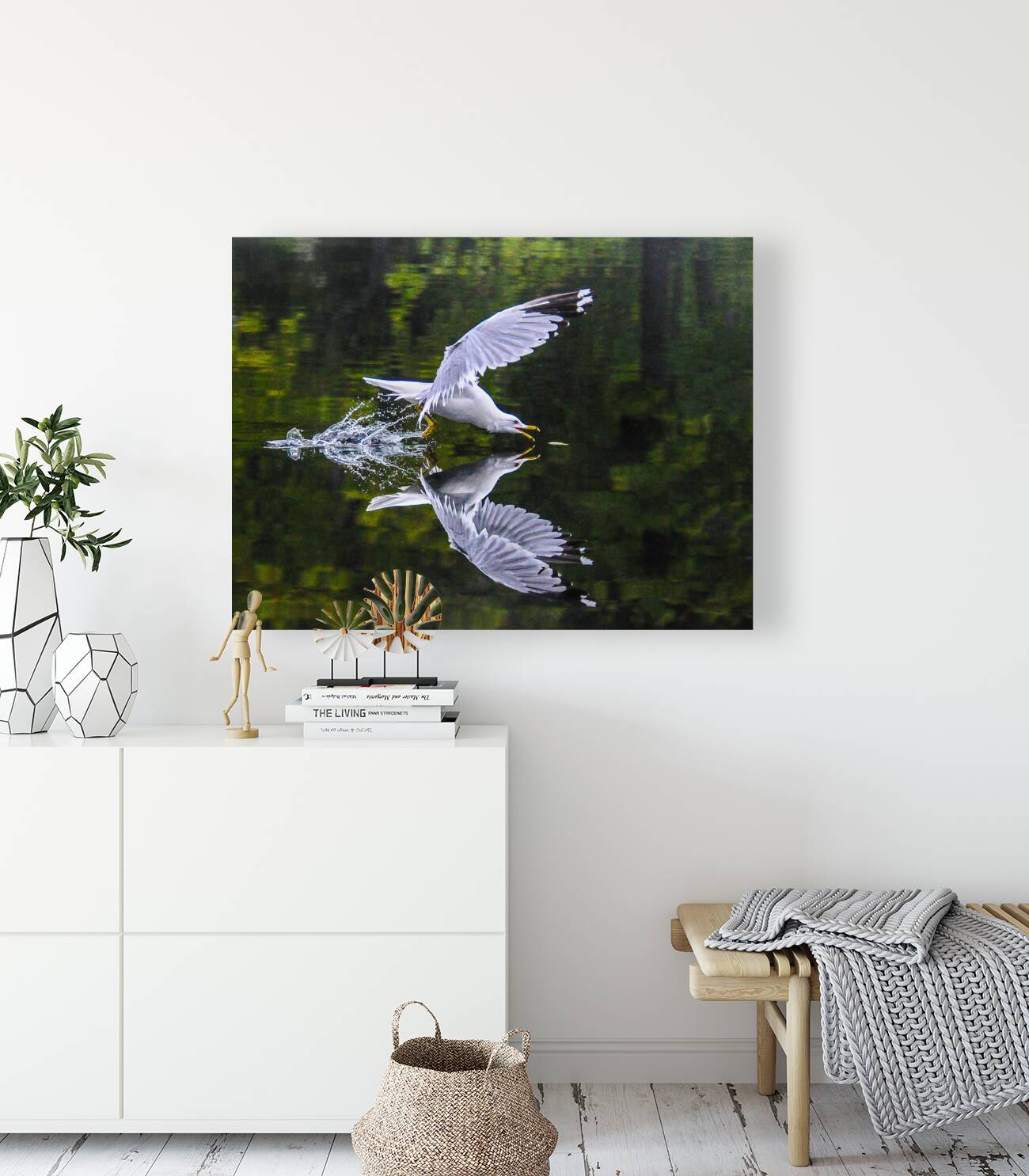 seagull  Reproduction