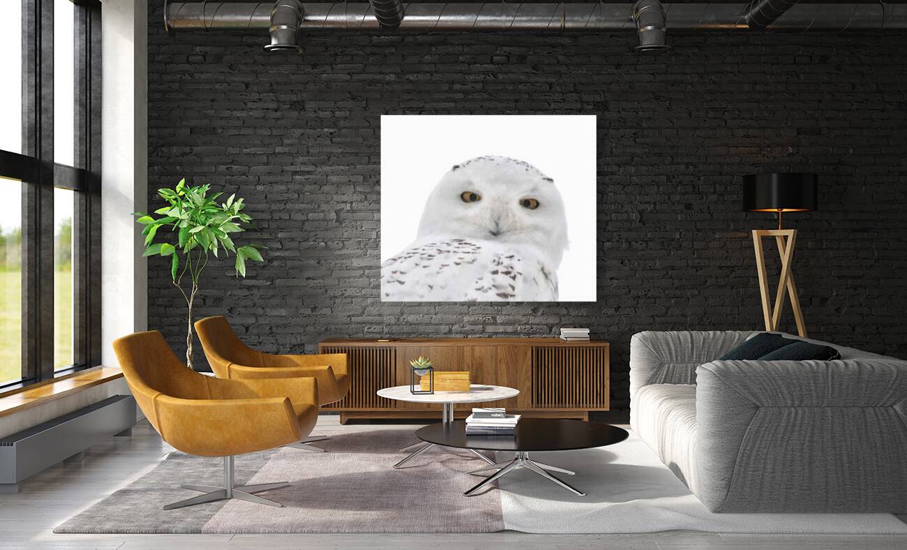 DSC 1876 2 Reproduction