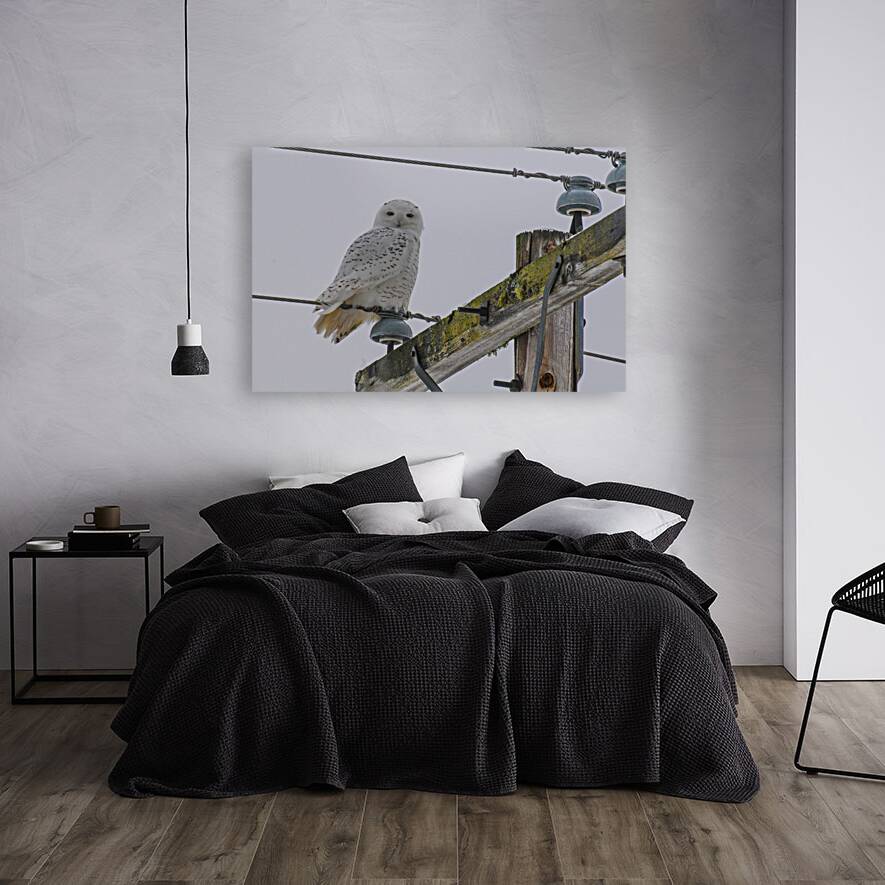 DSC 1879 Reproduction