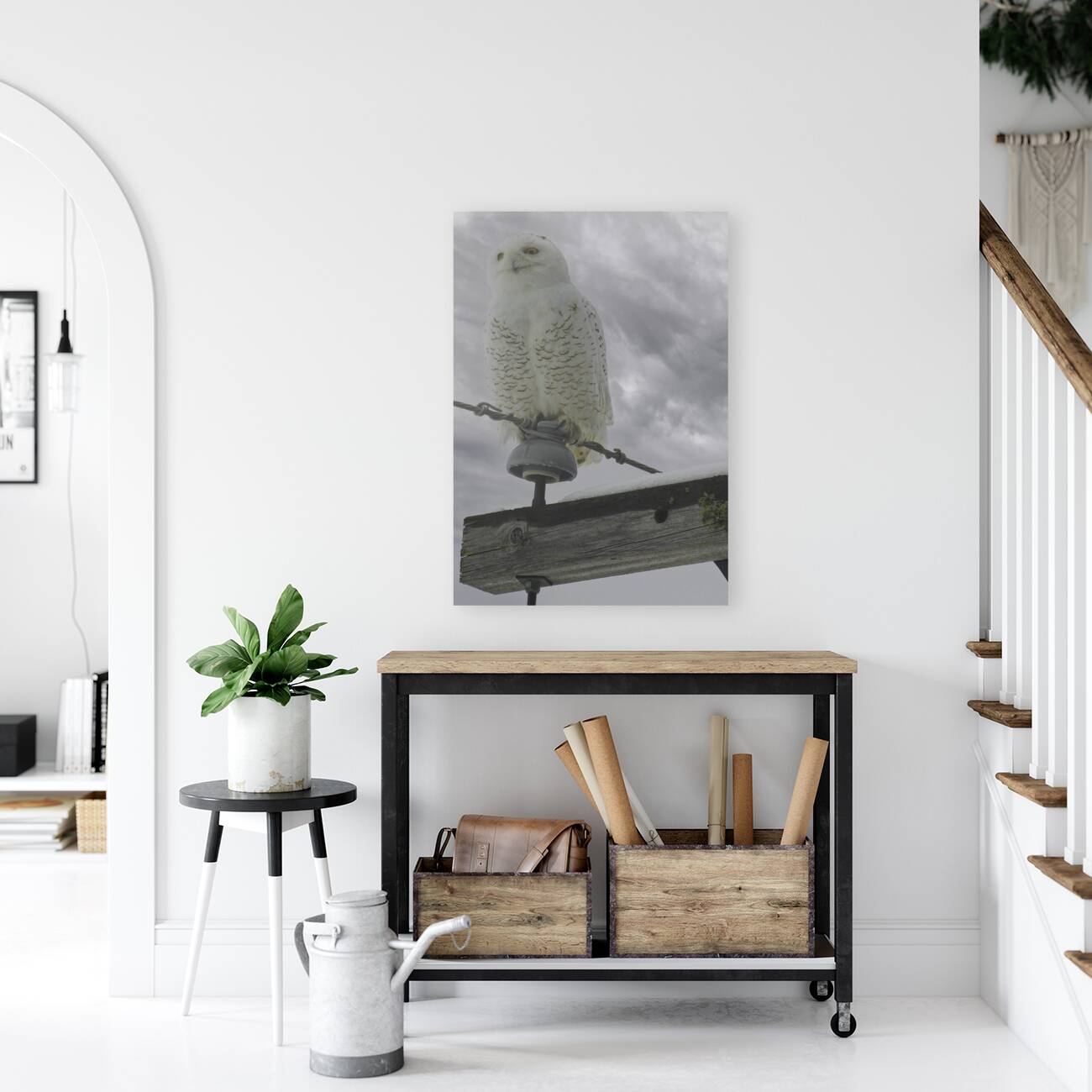 DSC 1902  Reproduction