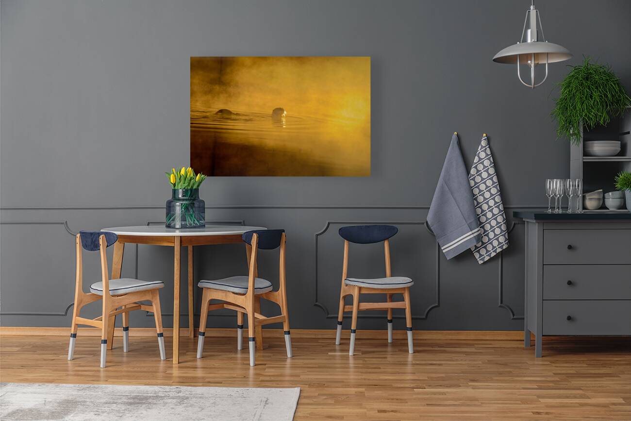 DSC 1717  Reproduction