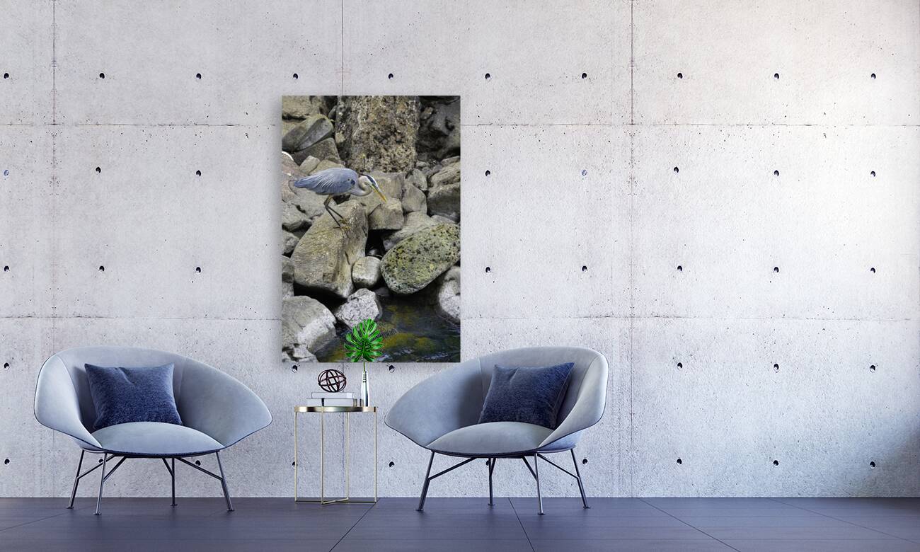 JBS 1629 2 Reproduction