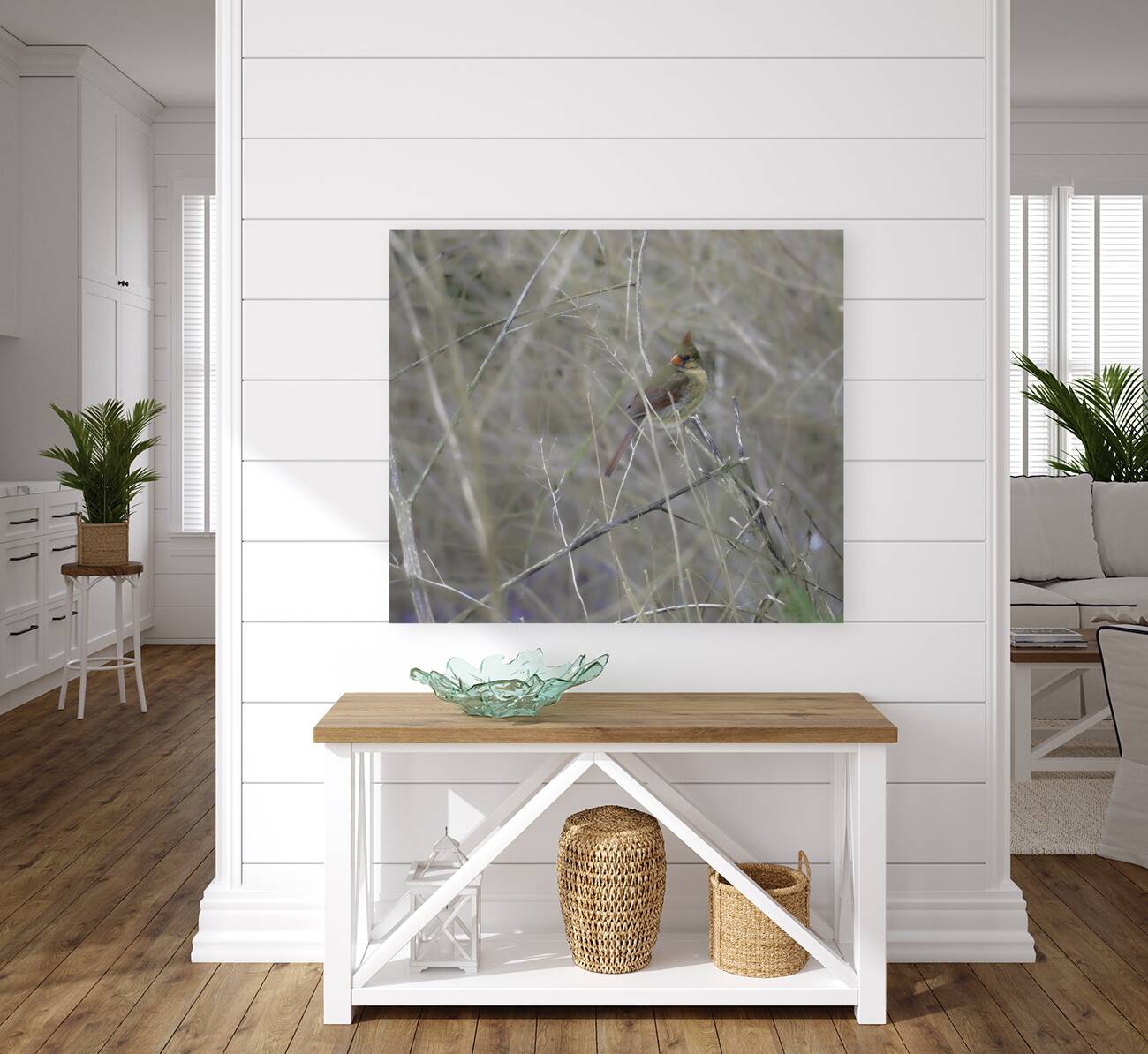 JBS 0660 Reproduction