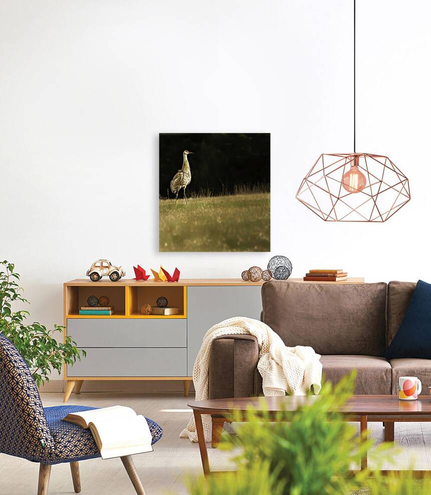 JBS 0909 Reproduction