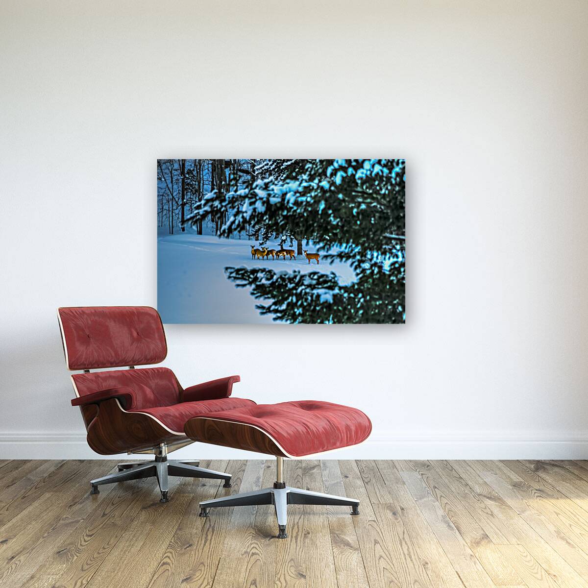 DSC 5646  Reproduction