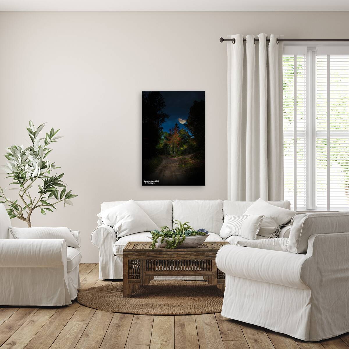 ZJS 8379  Reproduction