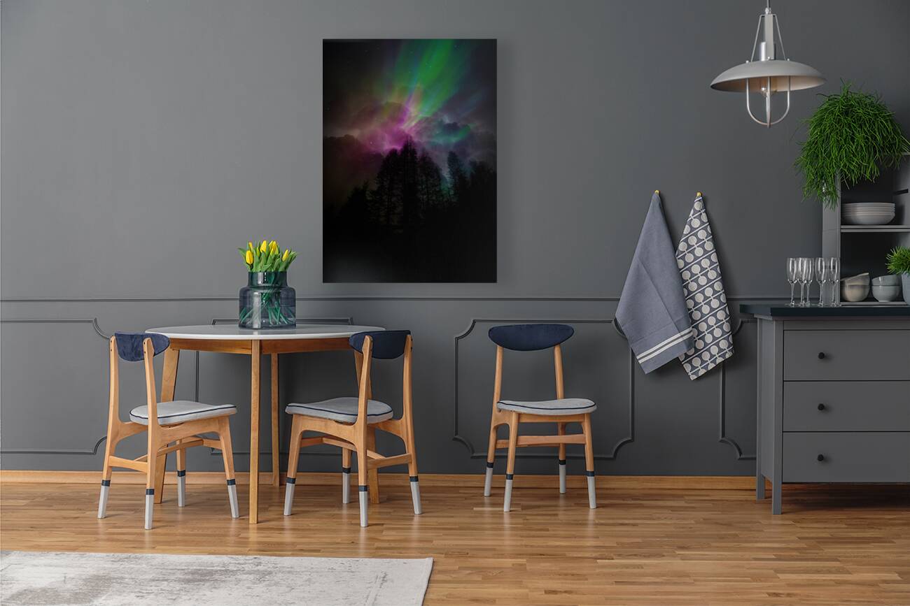 JBS 9713  Reproduction