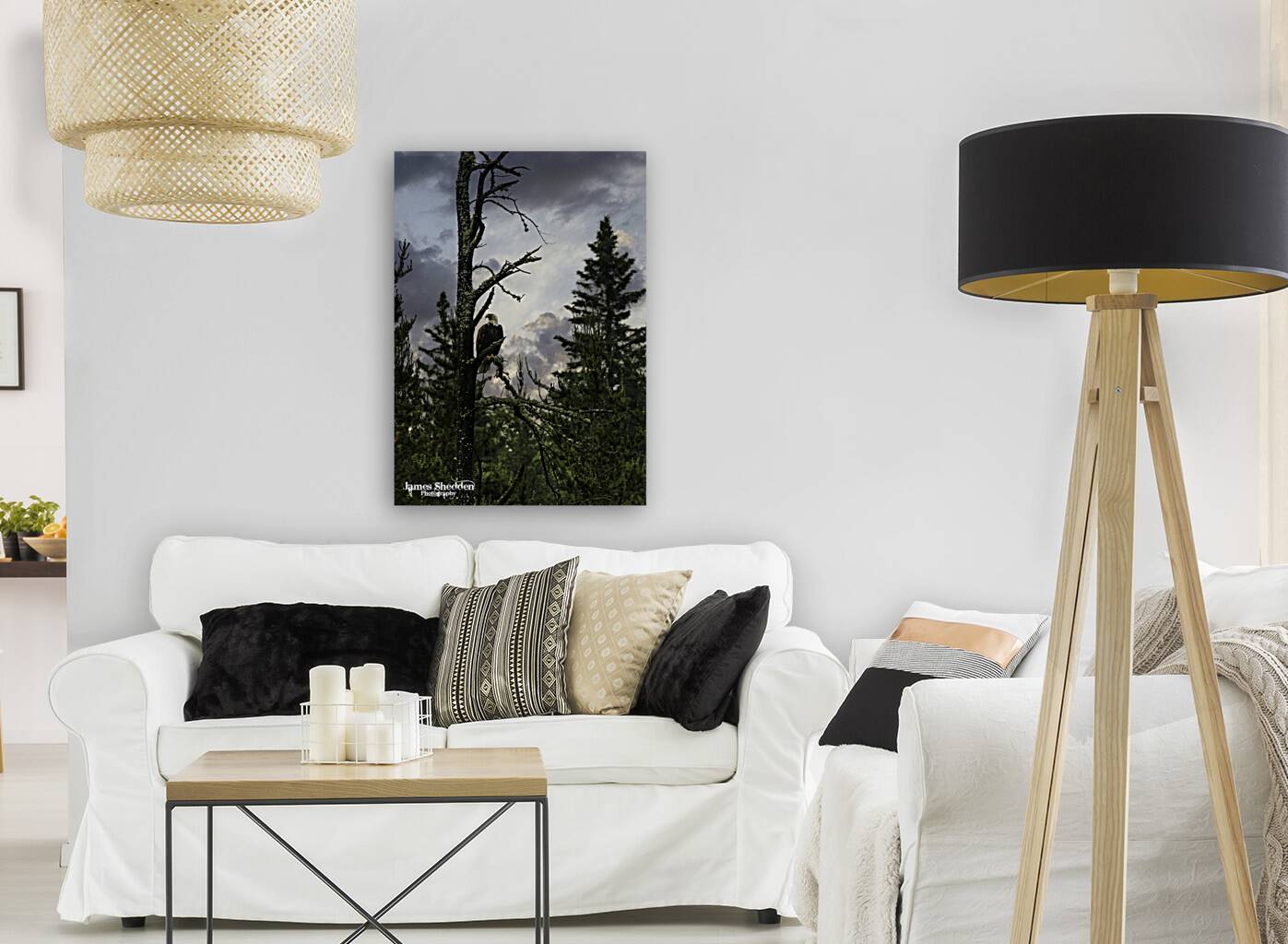 Eagle-Gogama Reproduction